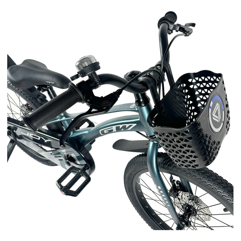 Bicicleta Niños Niñas Rin 20 Gw Joy Magnesio Ruedas Auxiliar