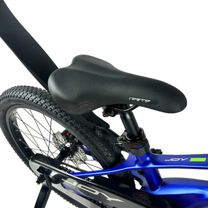 Bicicleta Niños Niñas Rin 20 Gw Joy Magnesio Ruedas Auxiliar