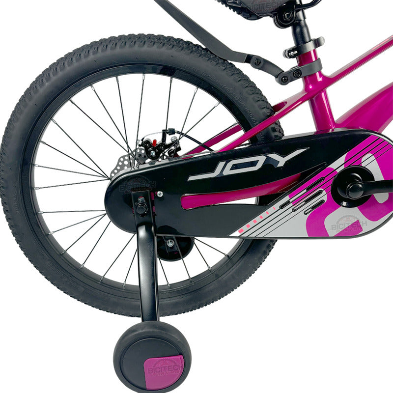 Bicicleta Niños Niñas Rin 20 Gw Joy Magnesio Ruedas Auxiliar