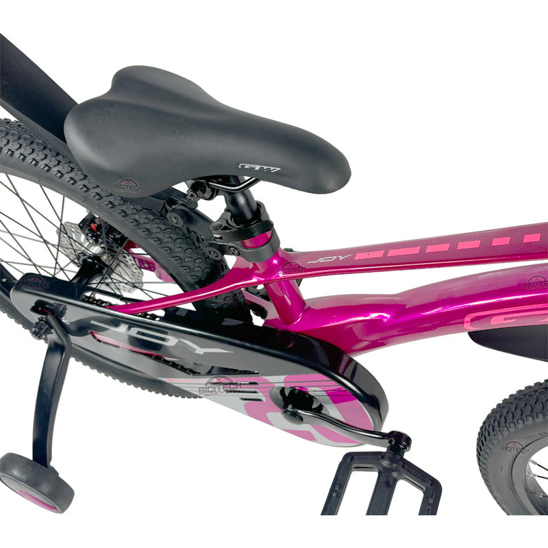 Bicicleta Niños Niñas Rin 20 Gw Joy Magnesio Ruedas Auxiliar