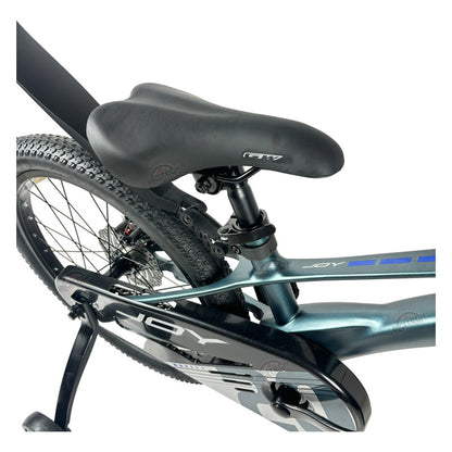 Bicicleta Niños Niñas Rin 20 Gw Joy Magnesio Ruedas Auxiliar