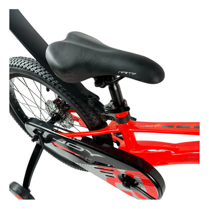 Bicicleta Niños Niñas Rin 20 Gw Joy Magnesio Ruedas Auxiliar