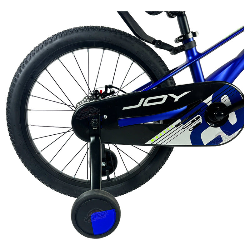 Bicicleta Niños Rin 20 Gw Joy Magnesio Azul Ruedas Auxiliare Azul Frances