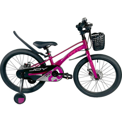Bicicleta Niños Niñas Rin 20 Gw Joy Magnesio Ruedas Auxiliar
