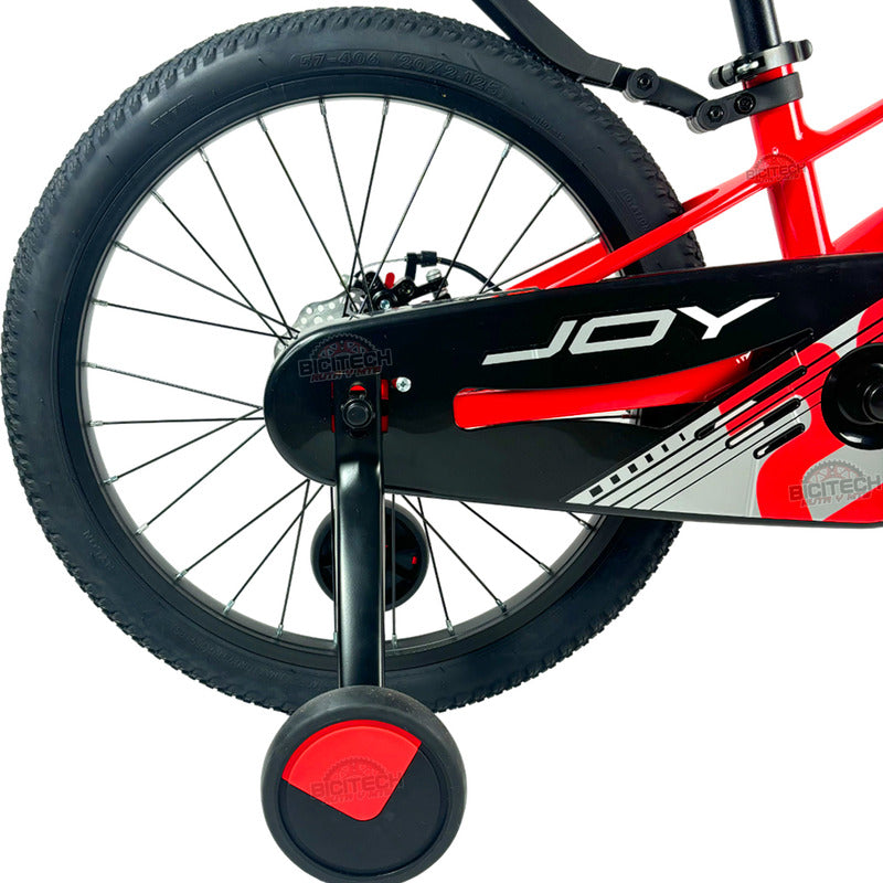 Bicicleta Niños Niñas Rin 20 Gw Joy Magnesio Ruedas Auxiliar