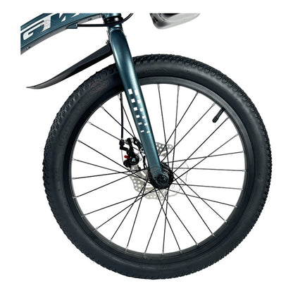 Bicicleta Niños Niñas Rin 20 Gw Joy Magnesio Ruedas Auxiliar