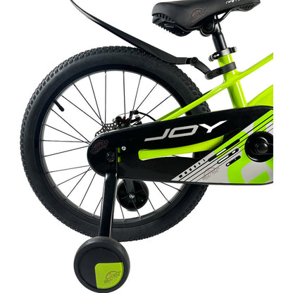 Bicicleta Niños Niñas Rin 20 Gw Joy Magnesio Ruedas Auxiliar