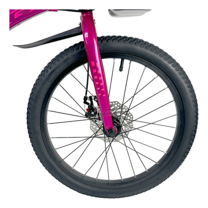 Bicicleta Niños Niñas Rin 20 Gw Joy Magnesio Ruedas Auxiliar