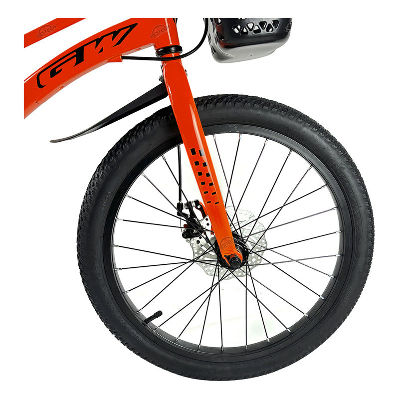 Bicicleta Niños Niñas Rin 20 Gw Joy Magnesio Ruedas Auxiliar