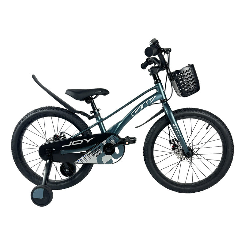 Bicicleta Niños Niñas Rin 20 Gw Joy Magnesio Ruedas Auxiliar