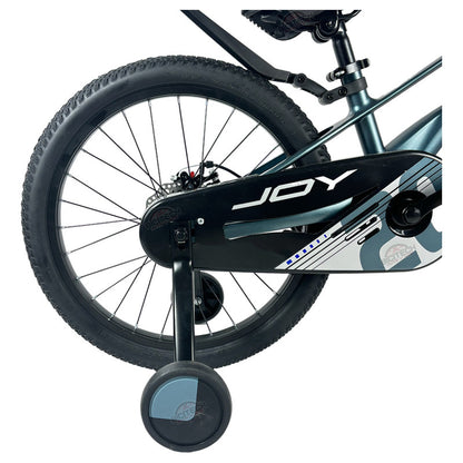 Bicicleta Niños Niñas Rin 20 Gw Joy Magnesio Ruedas Auxiliar